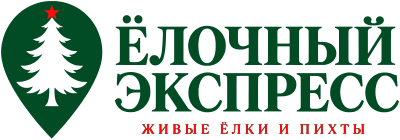 ЁЛКИ СПБ